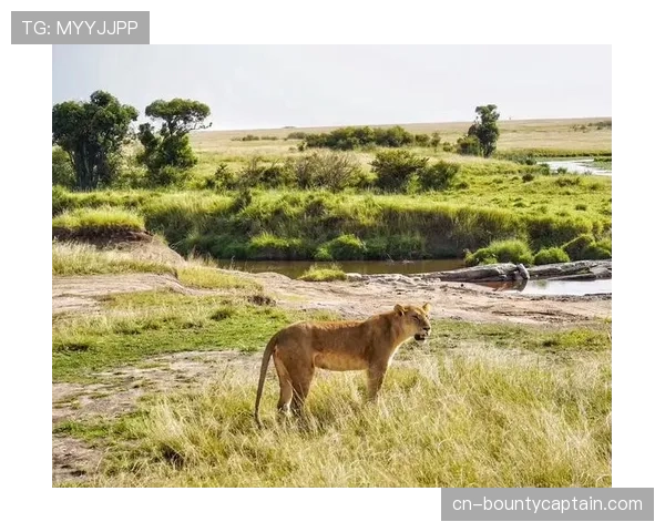 校园手球在非洲：肯尼亚试点项目用运动激励女童就学